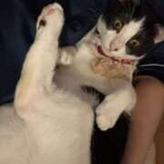 ヒメ日記 2025/03/23 11:23 投稿 さくや スーパークリスタル