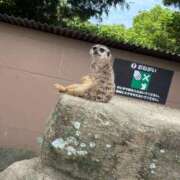 ヒメ日記 2025/05/28 15:23 投稿 さくや スーパークリスタル