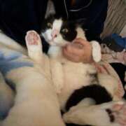 ヒメ日記 2025/06/20 18:23 投稿 さくや スーパークリスタル