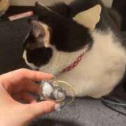 ヒメ日記 2025/06/22 09:23 投稿 さくや スーパークリスタル