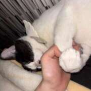 ヒメ日記 2025/06/25 12:23 投稿 さくや スーパークリスタル