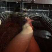 ヒメ日記 2025/06/28 02:23 投稿 さくや スーパークリスタル