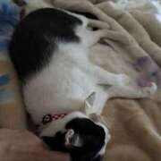 ヒメ日記 2025/07/17 17:28 投稿 さくや スーパークリスタル