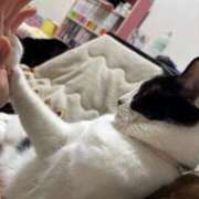 ヒメ日記 2025/07/24 11:07 投稿 さくや スーパークリスタル