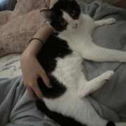 ヒメ日記 2025/08/02 12:05 投稿 さくや スーパークリスタル