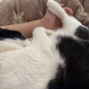 ヒメ日記 2025/08/20 22:13 投稿 さくや スーパークリスタル