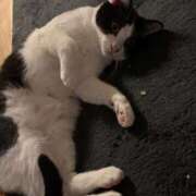 ヒメ日記 2025/09/07 17:13 投稿 さくや スーパークリスタル