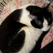 ヒメ日記 2025/09/09 11:54 投稿 さくや スーパークリスタル