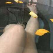 ヒメ日記 2025/09/21 01:53 投稿 さくや スーパークリスタル