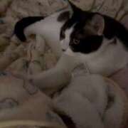 ヒメ日記 2025/09/22 08:57 投稿 さくや スーパークリスタル