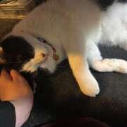 ヒメ日記 2025/11/18 01:53 投稿 さくや スーパークリスタル