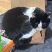 さくや 今日から！ スーパークリスタル