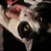 さくや 同じで嬉しい♡ スーパークリスタル