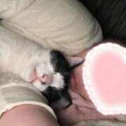 ヒメ日記 2025/12/27 05:53 投稿 さくや スーパークリスタル