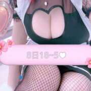 ヒメ日記 2025/04/08 16:02 投稿 あむ ナメすぎサークル立川店