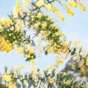 ヒメ日記 2025/03/09 06:59 投稿 すぎもと 石川小松ちゃんこ