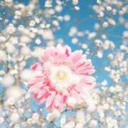 ヒメ日記 2025/04/30 18:39 投稿 すぎもと 石川小松ちゃんこ