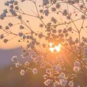 ヒメ日記 2025/07/17 12:59 投稿 すぎもと 石川小松ちゃんこ