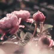 ヒメ日記 2025/09/05 11:49 投稿 すぎもと 石川小松ちゃんこ