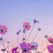 ヒメ日記 2026/02/21 22:09 投稿 すぎもと 石川小松ちゃんこ