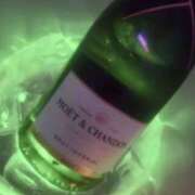 ヒメ日記 2025/04/04 17:48 投稿 れい アレグリア