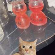 ヒメ日記 2025/05/10 20:18 投稿 れい アレグリア