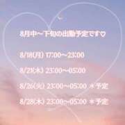 ヒメ日記 2025/08/13 16:33 投稿 美濃れお 麗しいマダム