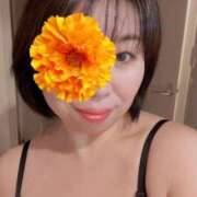 ヒメ日記 2025/11/17 12:59 投稿 美濃れお ワイフコレクション