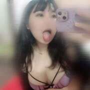 カクレエビ 戻りました🦐 女の子市場　川越店