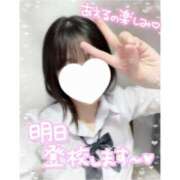 ヒメ日記 2025/04/18 12:19 投稿 みさと ハンドキャンパス池袋