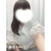 ヒメ日記 2025/05/24 12:31 投稿 奏音 ねいろ コンフォート