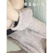 ヒメ日記 2025/10/22 12:02 投稿 奏音 ねいろ コンフォート