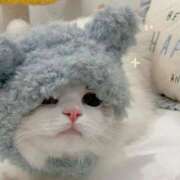 ヒメ日記 2025/02/22 01:00 投稿 りんか ホワイトハウス