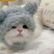 ヒメ日記 2025/03/30 01:22 投稿 りんか ホワイトハウス