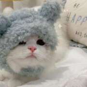 りんか ごめんなさい💦 ホワイトハウス