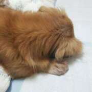 ヒメ日記 2025/01/21 09:27 投稿 大橋理沙子 五十路マダム 博多店