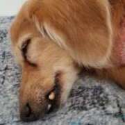 ヒメ日記 2025/02/19 08:37 投稿 大橋理沙子 五十路マダム 博多店