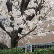 大橋理沙子 こんにちは👋😃 五十路マダム 博多店