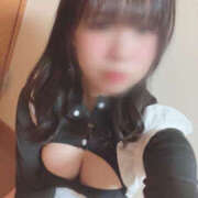 ヒメ日記 2025/02/12 17:36 投稿 みずき めちゃカワ女子 小田原早川店