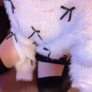 ヒメ日記 2025/10/08 17:02 投稿 みずき めちゃカワ女子 小田原早川店