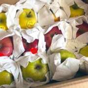 ヒメ日記 2025/03/23 15:08 投稿 カレン OPELA（オペラ）