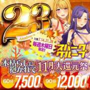 ヒメ日記 2024/11/13 13:39 投稿 ひいろ ぷるるん小町日本橋店