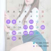 ヒメ日記 2025/04/05 10:53 投稿 つばき ムーランルージュ