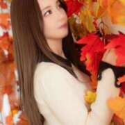 ヒメ日記 2025/10/24 15:53 投稿 つばき ムーランルージュ