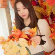 ヒメ日記 2025/11/12 10:45 投稿 つばき ムーランルージュ