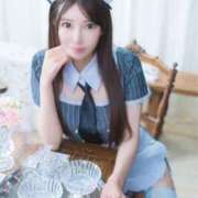 ヒメ日記 2026/03/24 10:31 投稿 つばき ムーランルージュ