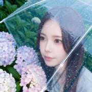 つばき 🌻7月🌻 ムーランルージュ