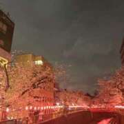 ヒメ日記 2025/05/30 02:09 投稿 りこ 素人エロカワ小悪魔誘惑バニーガール