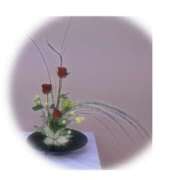 ヒメ日記 2025/10/05 01:03 投稿 つばさ 神戸人妻花壇