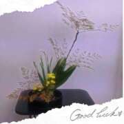 ヒメ日記 2025/01/08 23:11 投稿 つばさ 大阪人妻援護会